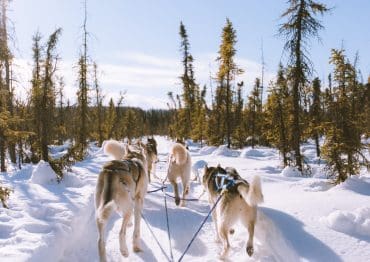 Alpes Hôtel du Pralong